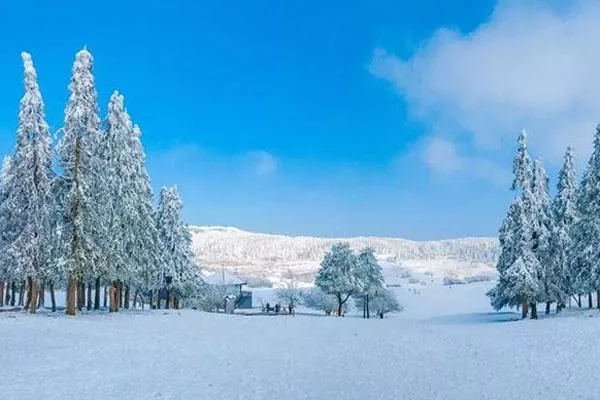 2021重慶仙女山看雪最佳時(shí)間 仙女山看雪攻略