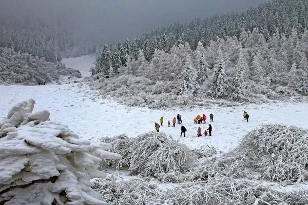 2021重慶仙女山看雪最佳時(shí)間 仙女山看雪攻略