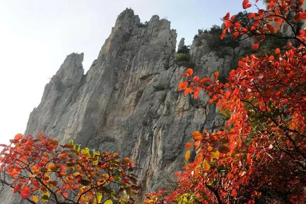 巫山紅葉最佳觀賞地點(diǎn)及路線推薦