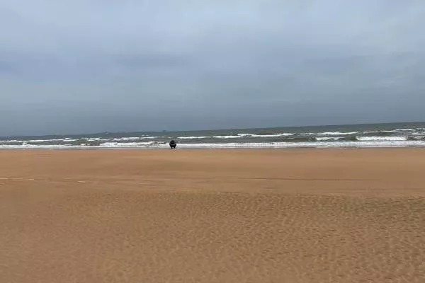 日照海濱國(guó)家森林公園開放時(shí)間