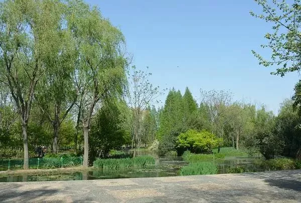 洛陽(yáng)隋唐城遺址植物園露營(yíng)的地方在哪里