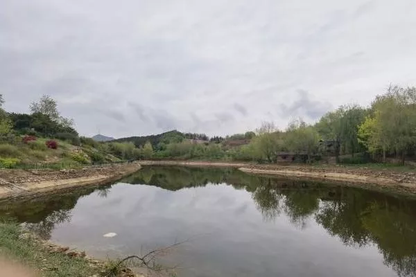 大連英歌石植物園具體地址在哪 在大連哪里