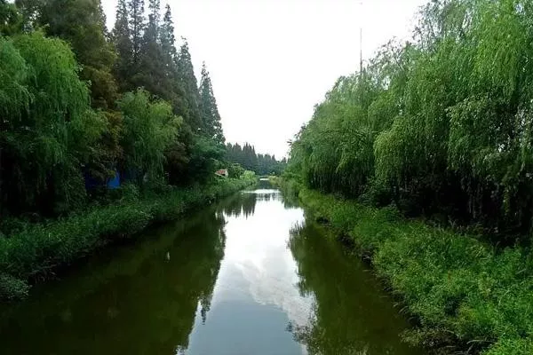 崇明島有什么好玩的景點推薦