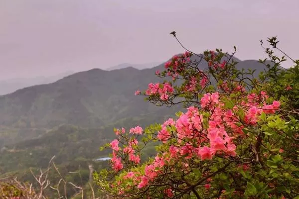 湖北武漢黃陂云霧山<a href='/fengjing/' target=_blank>風(fēng)景</a>區(qū)在哪里?木蘭云霧山在哪個地方?