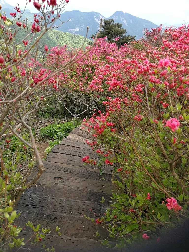 龜峰山風景區(qū)好玩嗎 龜峰山旅游攻略