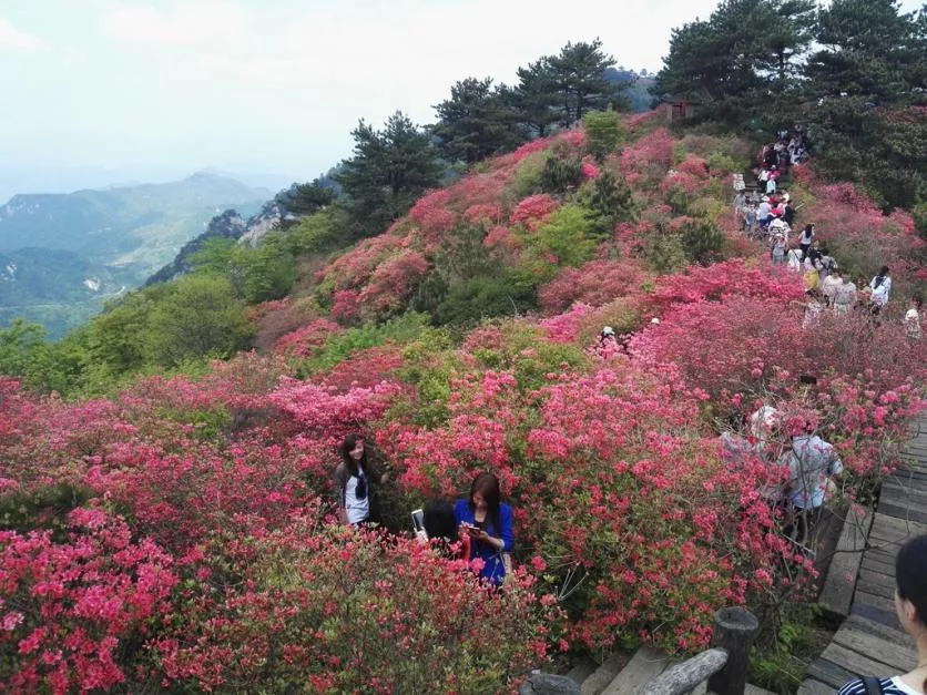 龜峰山風景區(qū)好玩嗎 龜峰山旅游攻略