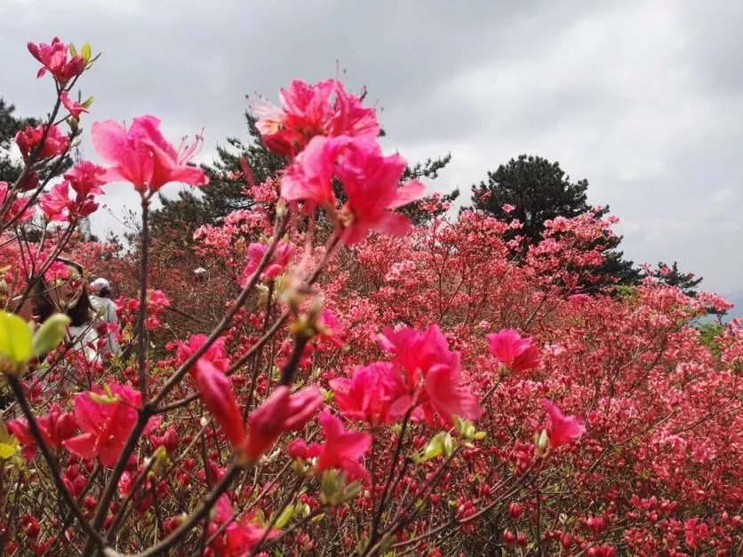 龜峰山風景區(qū)好玩嗎 龜峰山旅游攻略