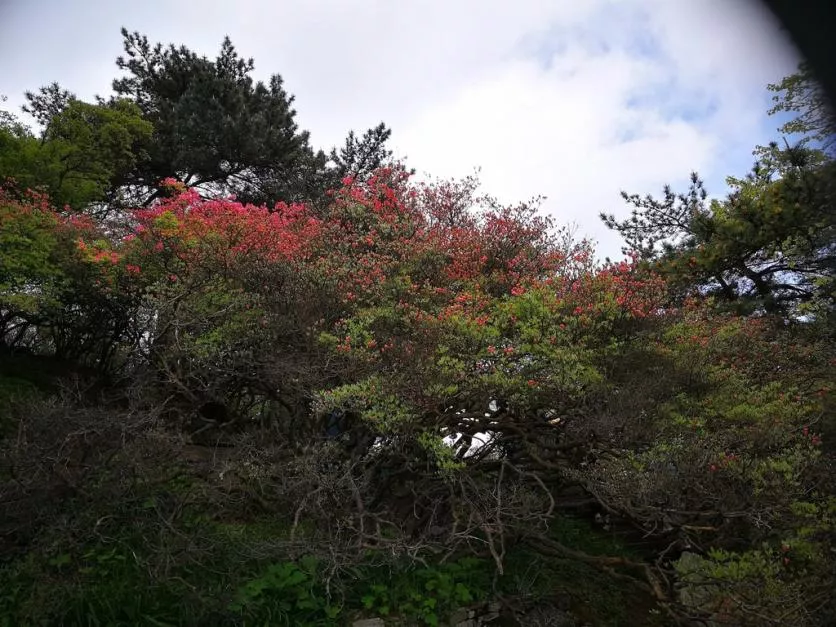 龜峰山風景區(qū)好玩嗎 龜峰山旅游攻略