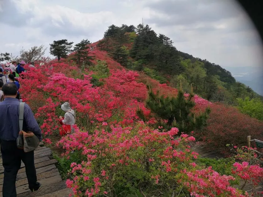 龜峰山?
??景區(qū)好玩嗎 龜峰山旅游攻略