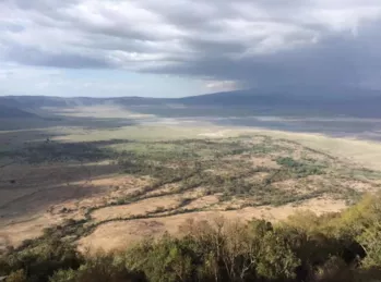 坦桑尼亞東非大草原safari旅游攻略