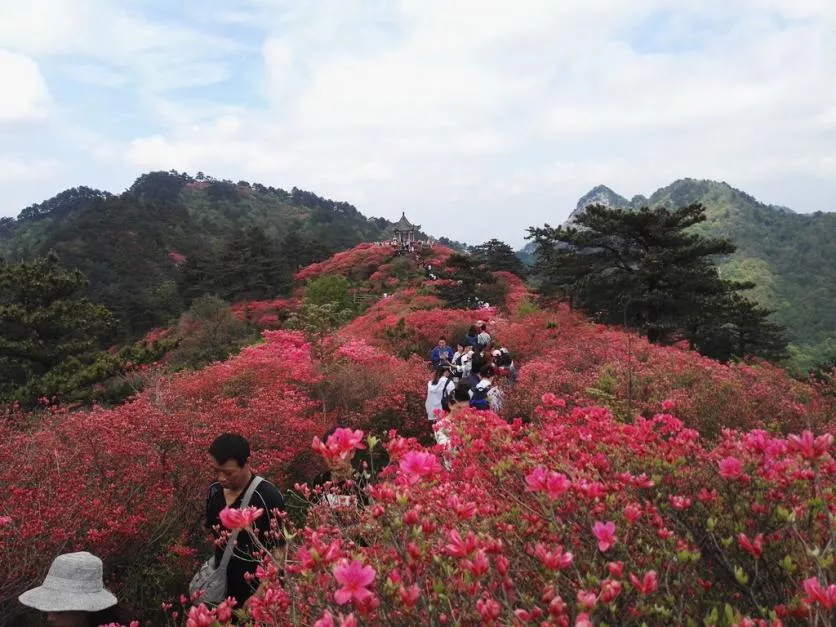 龜峰山風景區(qū)好玩嗎 龜峰山旅游攻略