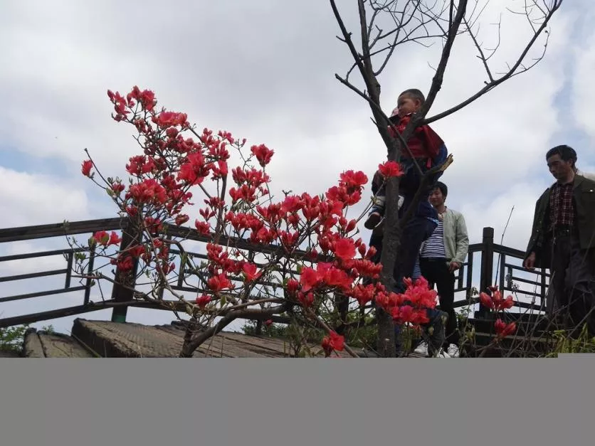 龜峰山風景區(qū)好玩嗎 龜峰山旅游攻略