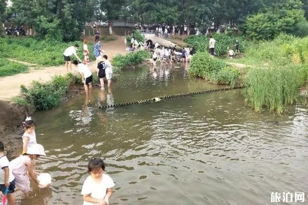 北京沙河水庫(kù)釣魚指南