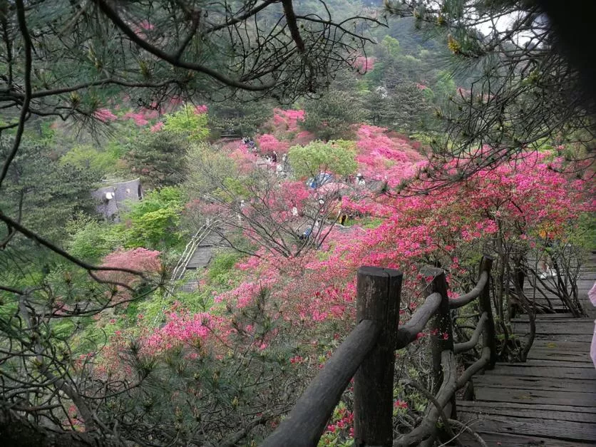 龜峰山風景區(qū)好玩嗎 龜峰山旅游攻略