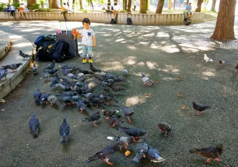 上野公園旅游  上野公園攻略