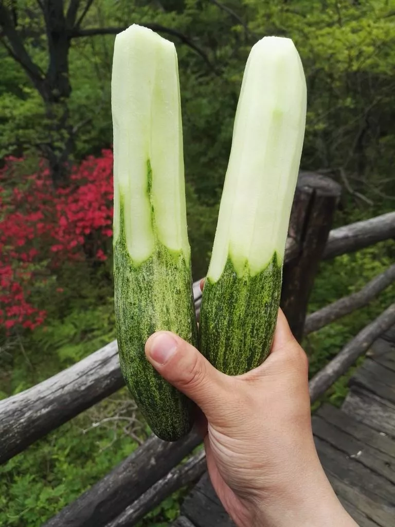 龜峰山風景區(qū)好玩嗎 龜峰山旅游攻略