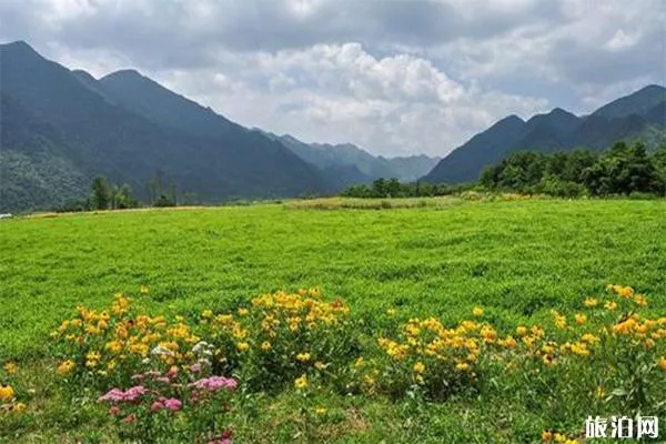 巫溪紅池壩景區(qū)介紹 可以開車進(jìn)去嗎