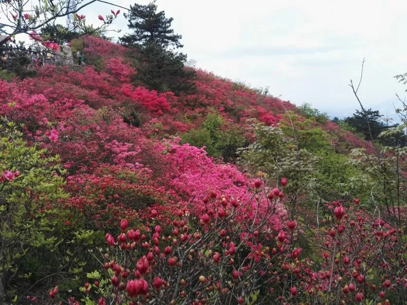 龜峰山風景區(qū)好玩嗎 龜峰山旅游攻略