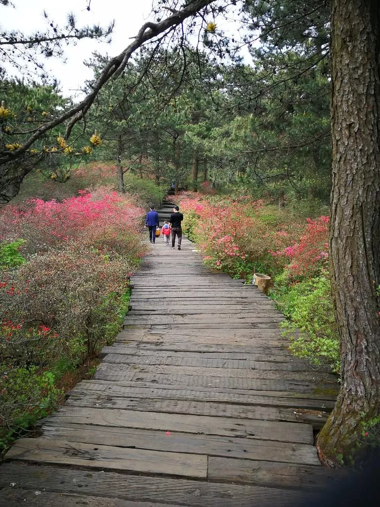 龜峰山風景區(qū)好玩嗎 龜峰山旅游攻略