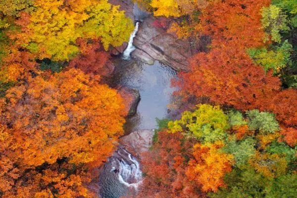 光霧山紅葉節(jié)2022年什么時候開幕