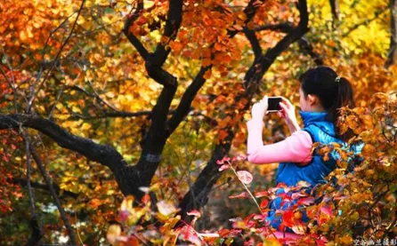 香山公園什么時候去最好  香山公園門票是多少