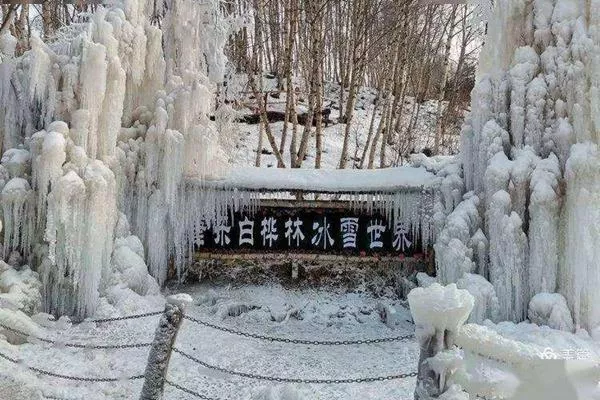 康樂(lè)縣白樺林冰雪世界免費(fèi)到什么時(shí)候?日常門票價(jià)格介紹