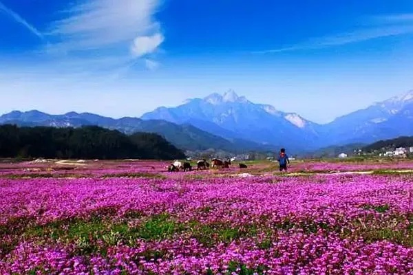 羅田燕兒谷景區(qū)游玩攻略 門票、住宿、最佳游玩時間都在這了