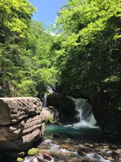 神農(nóng)架有什么好玩的地方 神農(nóng)架有野人嗎