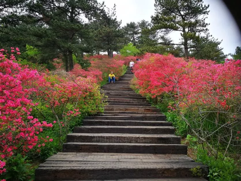 龜峰山風景區(qū)好玩嗎 龜峰山旅游攻略