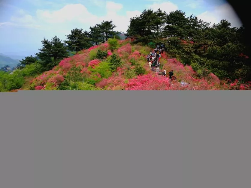 龜峰山風景區(qū)好玩嗎 龜峰山旅游攻略