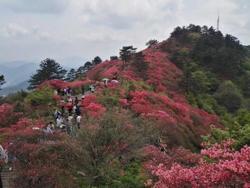 龜峰山風景區(qū)好玩嗎 龜峰山旅游攻略