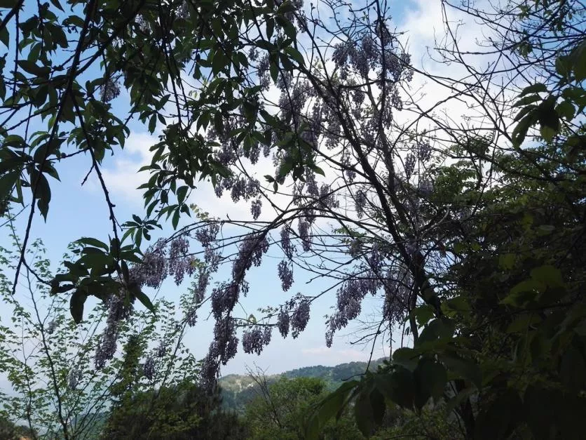 龜峰山風景區(qū)好玩嗎 龜峰山旅游攻略