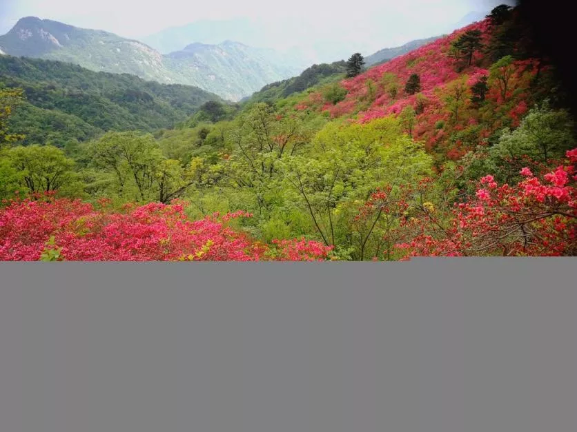 龜峰山風景區(qū)好玩嗎 龜峰山旅游攻略