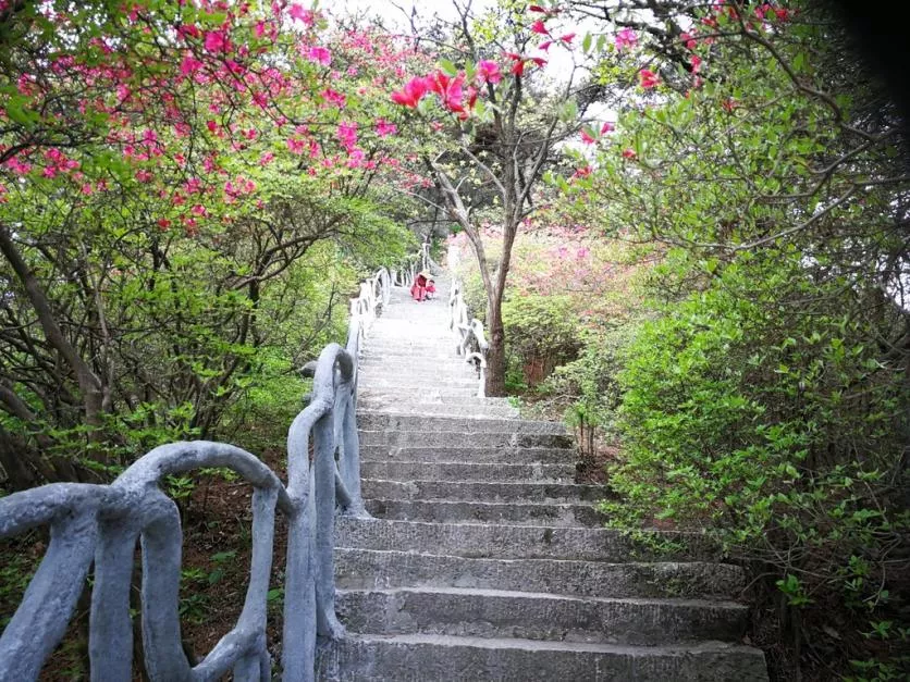 龜峰山風景區(qū)好玩嗎 龜峰山旅游攻略