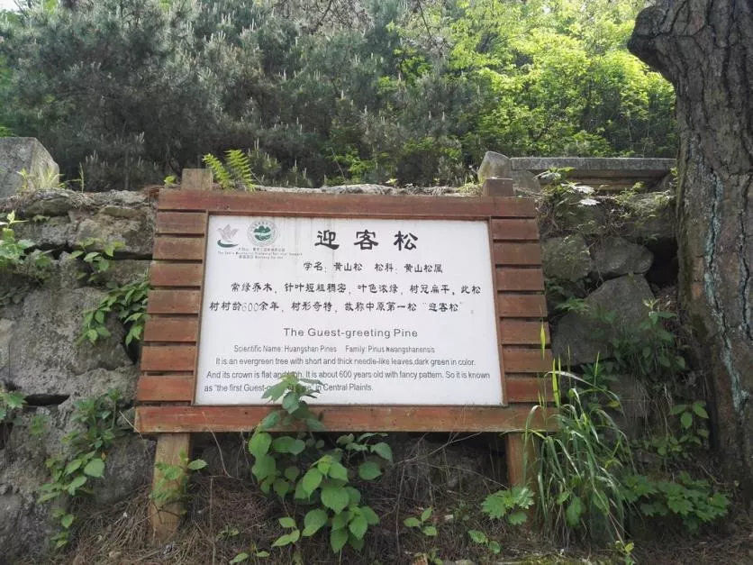 龜峰山風景區(qū)好玩嗎 龜峰山旅游攻略