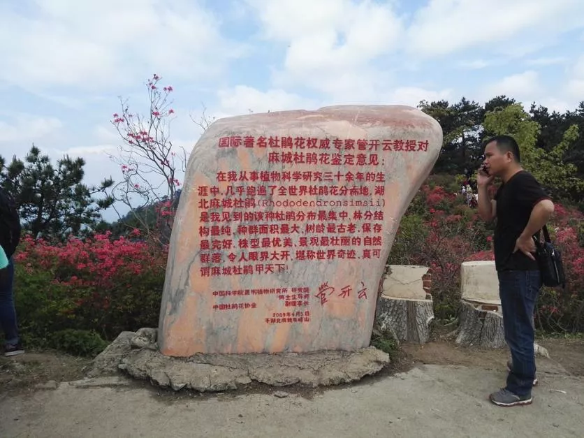 龜峰山風景區(qū)好玩嗎 龜峰山旅游攻略