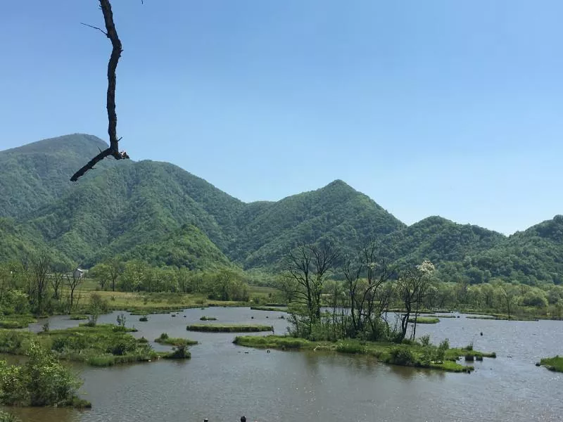 神農(nóng)架有什么好玩的地方 神農(nóng)架有野人嗎