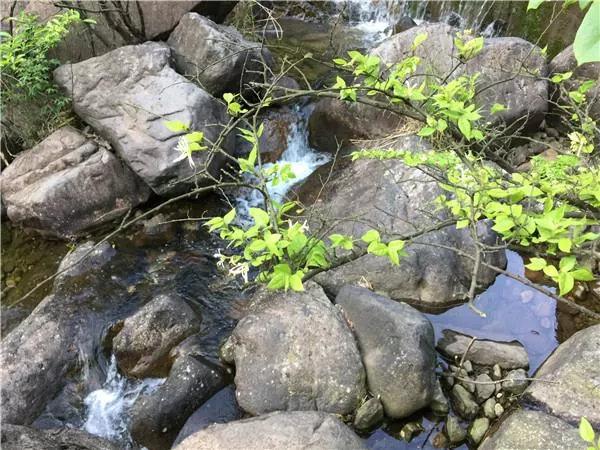 桐廬大奇山好玩嗎 桐廬大奇山門票多少錢