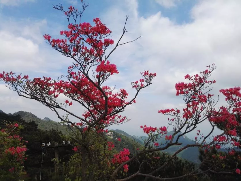 龜峰山風景區(qū)好玩嗎 龜峰山旅游攻略