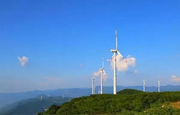 武隆區(qū)春游踏青好去處推薦 賞花、摘草莓等玩法都有哦