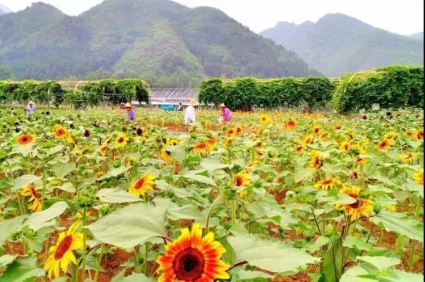 北京京郊游推薦哪最好