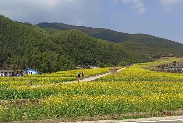 江西看油菜花最好的地方