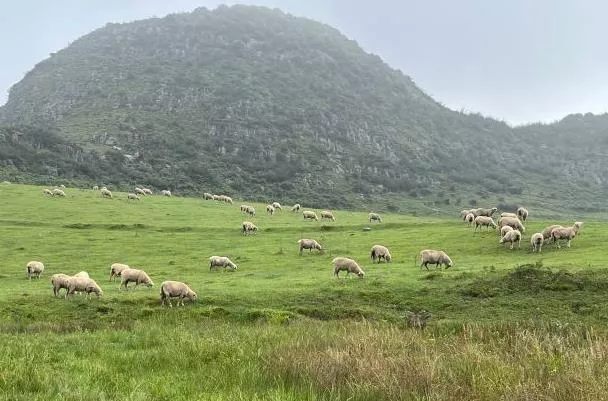 畢節(jié)旅游?
?點有哪些地方