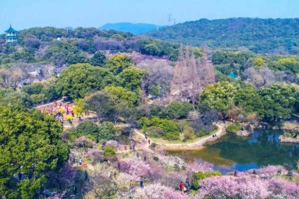 春季旅游最佳去處國內(nèi)有哪些地方